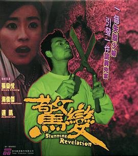 《惊变在线观看完整版电视剧免费播放》2004 海报