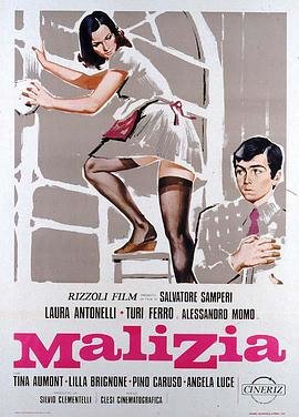 《青涩体验》HD中字免费在线观看高清完整版 (1973) 海报
