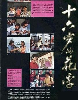 《《十六岁的花季》_电视剧全集_免费在线观看完整版》1990 海报