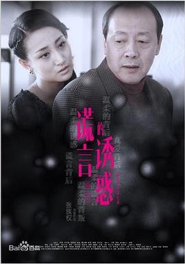 电视剧《谎言的诱惑1》免费在线观看高清完整版- (2015) 海报
