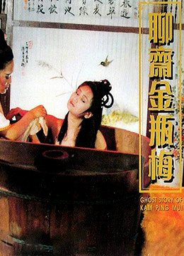《聊斋金瓶梅》_HD中字_云播资源全集完整版在线免费观看 (1991) 海报