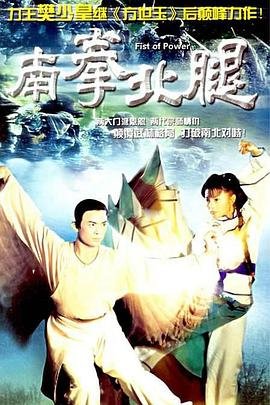 《南拳北腿电视剧国语版免费观看》1995 海报