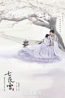 《七夜雪》 电视剧免费在线观看全集高清完整版 (2024) 海报