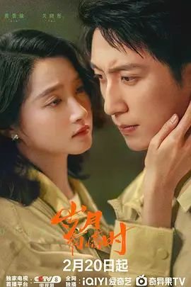 《《岁月有情时》电视剧全集免费观看高清完整版》2026 海报