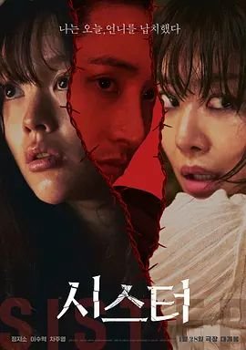 姐妹第6集在线观看完整版高清 (2026) 海报
