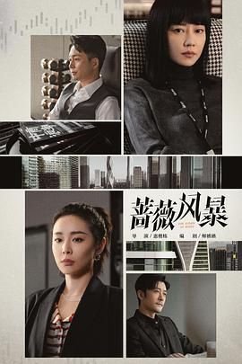 《蔷薇风暴》电视剧全集免费在线观看完整版 - 国产剧 - (2024) 海报