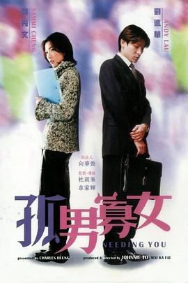《孤男寡女免费观看全部电视剧》2000 海报