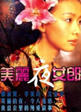 《《美丽夜女郎》HD中字云播资源国语全集在线免费观看高清完整》1996 海报