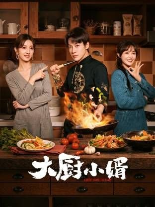 大厨小婿第01集在线观看-电视剧- (2025) 海报