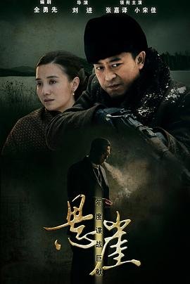 《悬崖电视剧全集40集在线观看免费》2012 海报