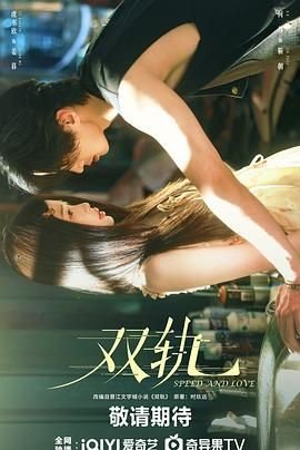 《《双轨》电视剧在线观看全集免费13集》2025 海报
